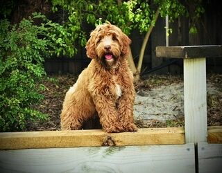 What’s YOUR Niche Market?